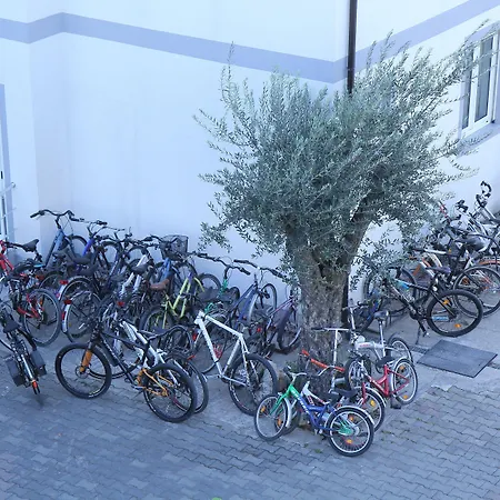 Hotel Bicaj Shkoder